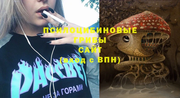 твердый Верхний Тагил