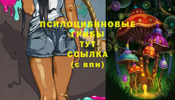 меф Пролетарск