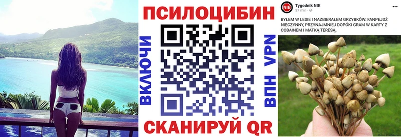 Псилоцибиновые грибы GOLDEN TEACHER  Купить закладки  Сосногорск 